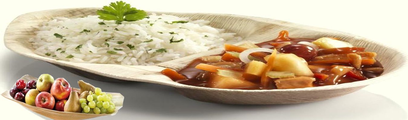 Areca Leaf Bowls Suppliers Near Udaipur Rajasthan