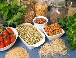 Organic Stores Near Chennai